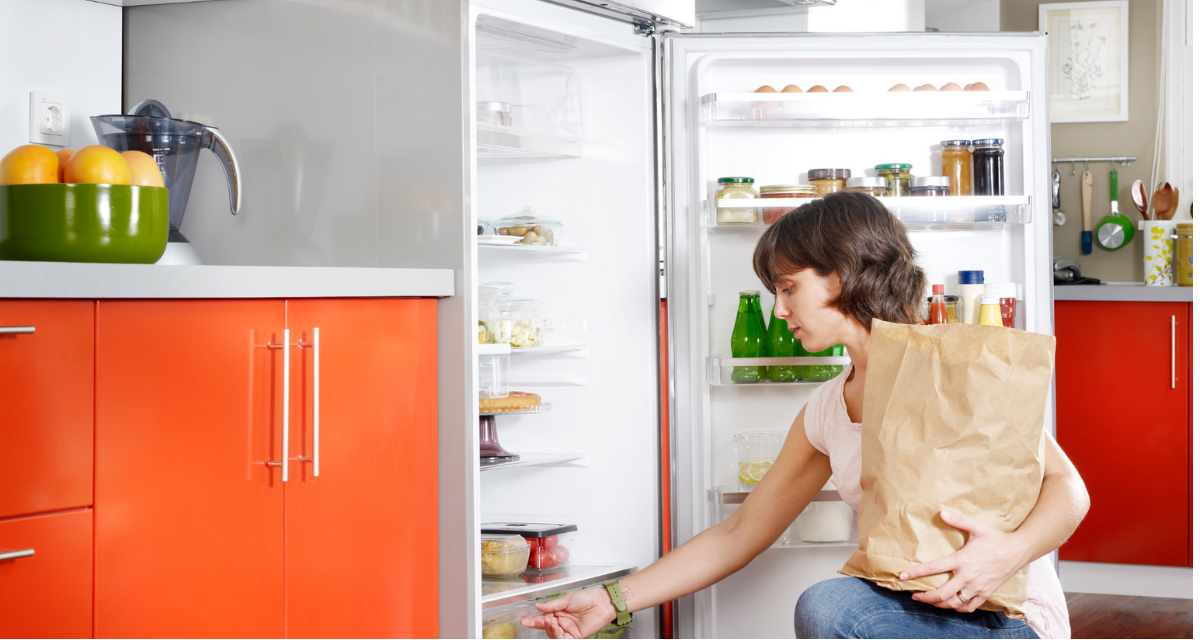 refrigerador-frost-free-dicas-uteis